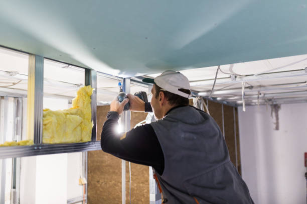 Types of Insulation We Offer in Alvarado, TX