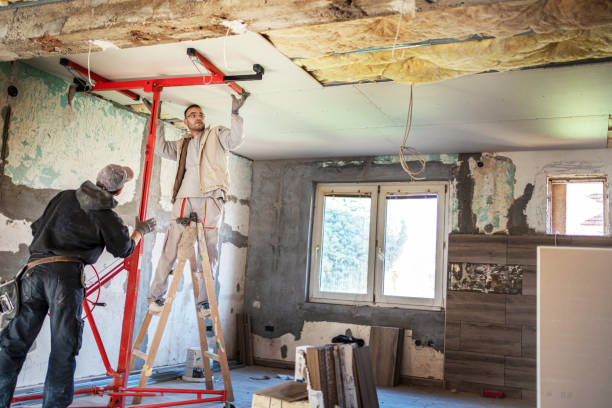 Best Cellulose Insulation in Alvarado, TX