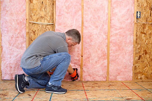 Best DIY Insulation Kits and Guidance in Alvarado, TX
